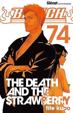 Bleach Vol 74 Manga French