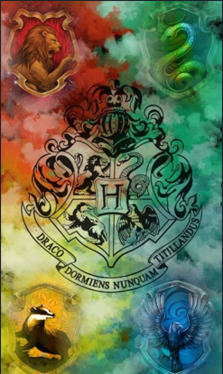 Diamond Painting Hogwarts the 4 Houses