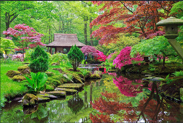 Diamond Painting Japanese Garden