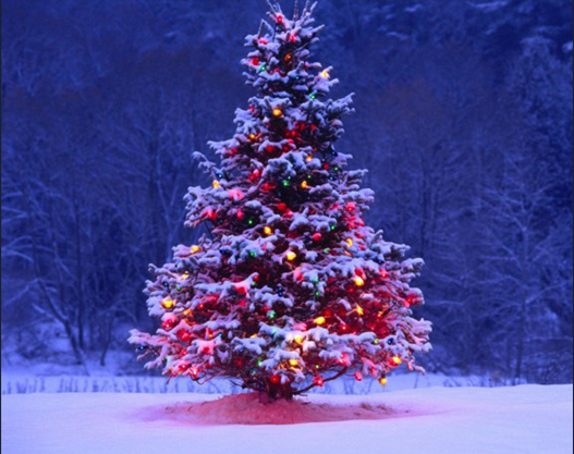 Diamond Painting christmas tree