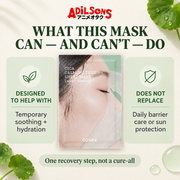 COSRX Pure Fit Cica Calming True Sheet Mask — Realistic expectations | Adilsons creative 15