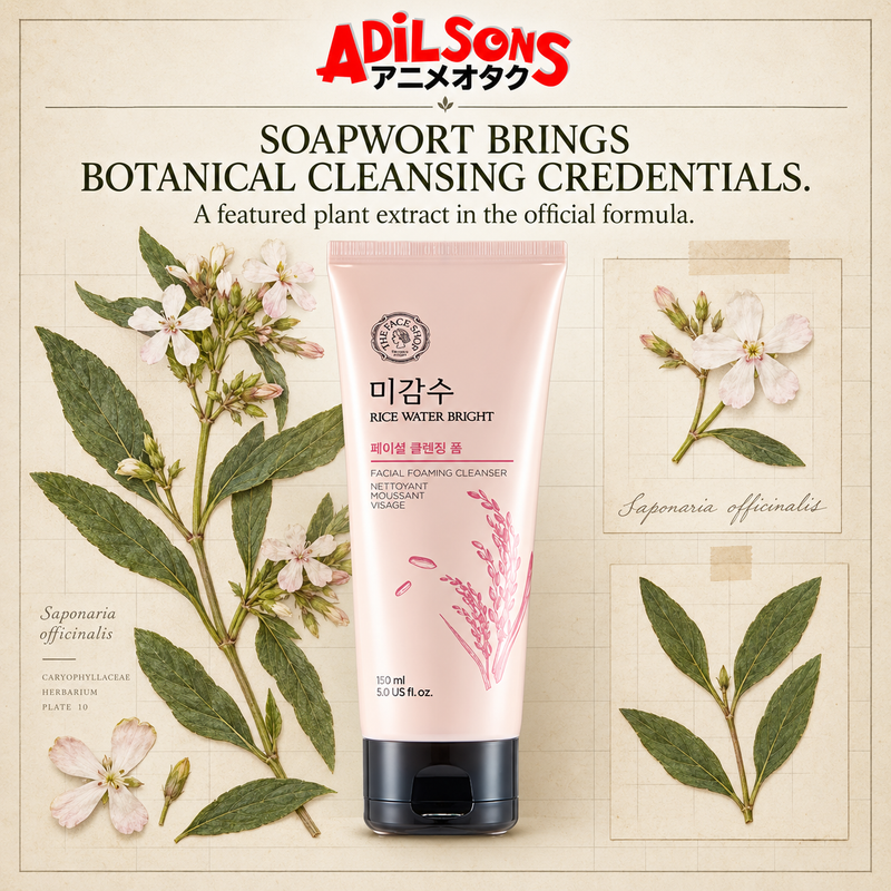 THE FACE SHOP Rice Water Bright Facial Foaming Cleanser 150ml creative: SOAPWORT BRINGS BOTANICAL CLEANSING CREDENTIALS.