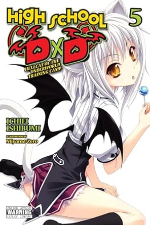 High School DxD Hellcat of the Underworld Training Camp Light Novel  Light Novel English