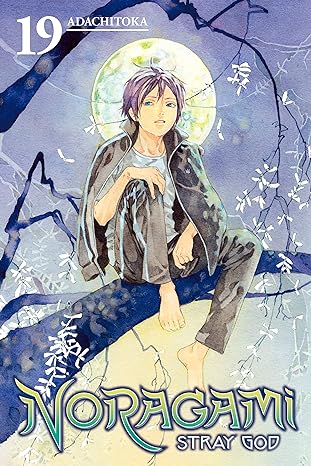 Noragami  Vol 19 Manga English